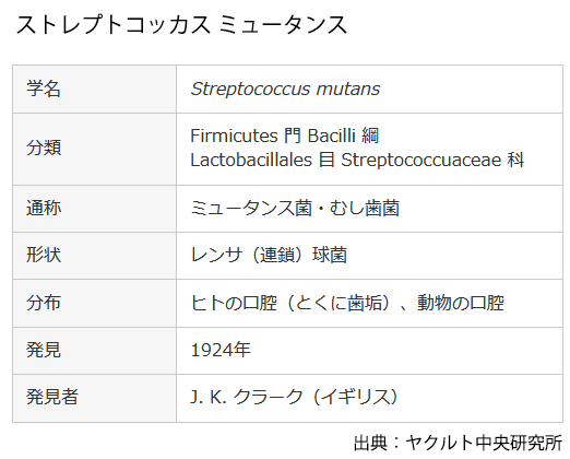 ミュータンス菌