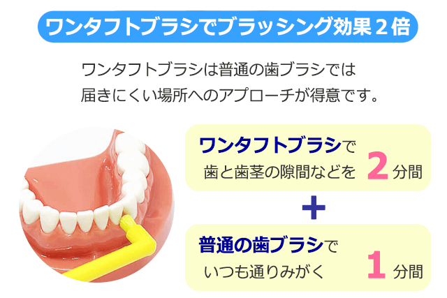 ワンタフトブラシでブラッシング効果2倍