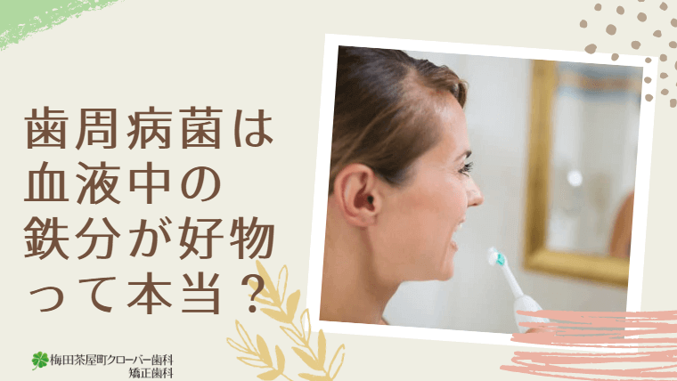 歯周病菌は血液中の鉄分が好物って本当？