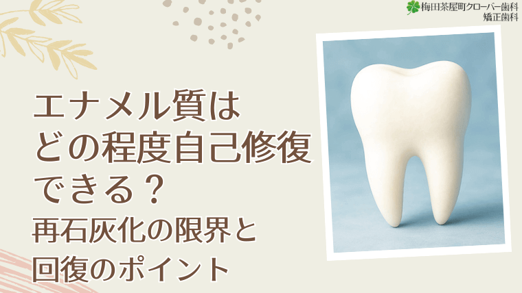 エナメル質はどの程度自己修復できる？再石灰化の限界と回復のポイント