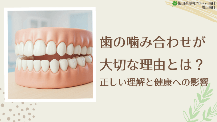 歯の噛み合わせが大切な理由とは？