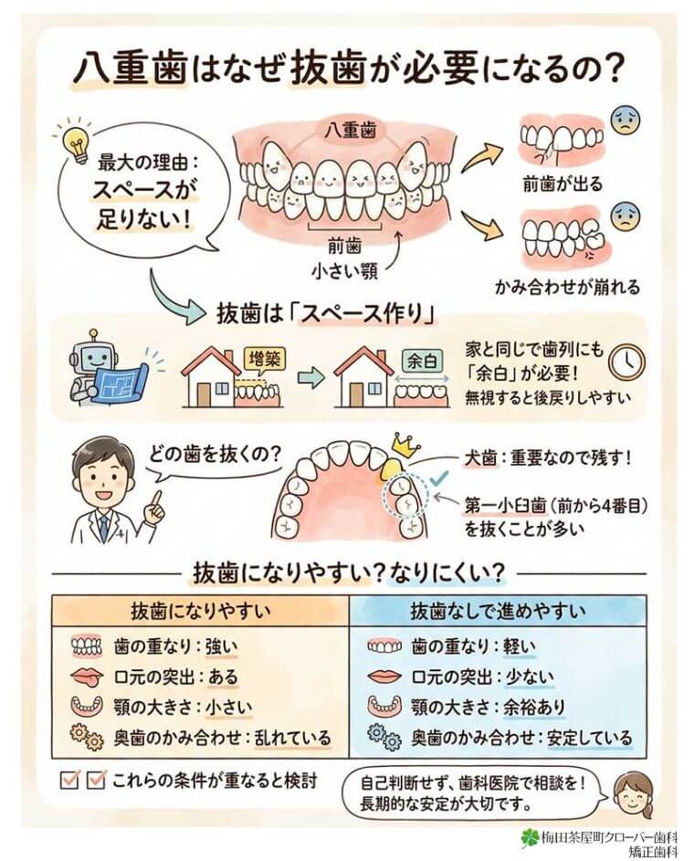 八重歯はなぜ抜歯が必要になることがあるのですか？の図解