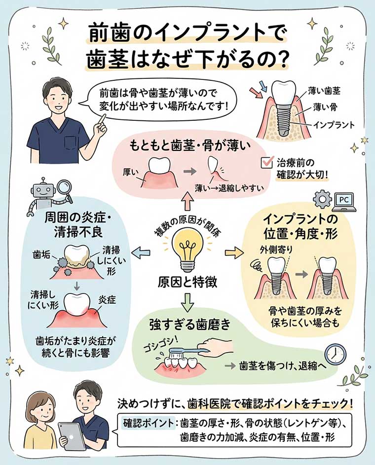 前歯のインプラントで歯茎はなぜ下がるの？の図解
